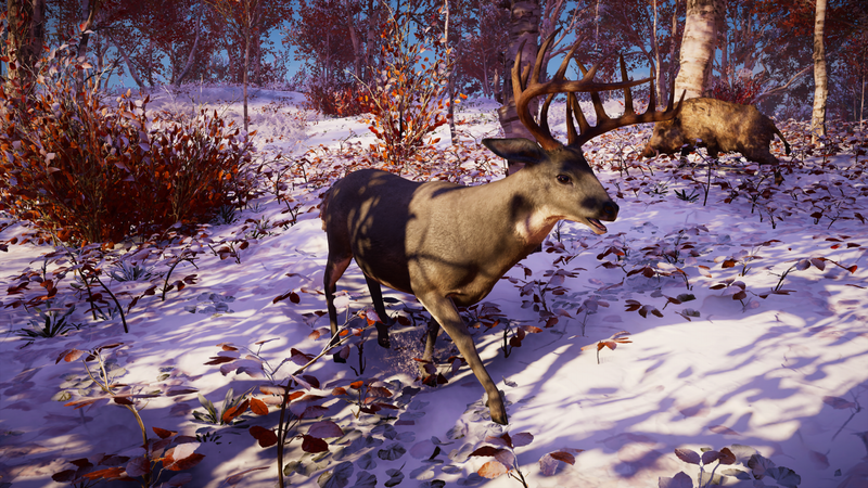 File:ACV Deer.png