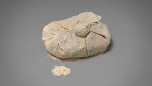 DTAE Bag of Natron.jpg