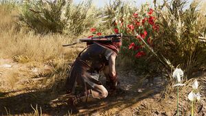 ACOd-FlowersfortheDead-flowerpicking.jpg