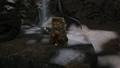Thumbnail for version as of 00:19, 23 January 2026
