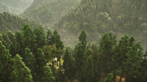 ACSH Hidden River 1.png