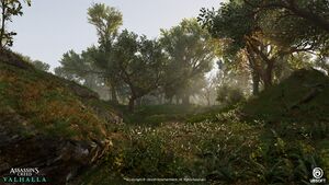 ACV Epinga Forest 4.jpg