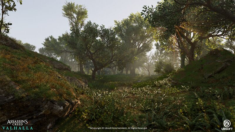 File:ACV Epinga Forest 4.jpg