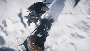 ACV Honor's Hubris 19.jpg