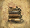 Thumbnail for version as of 00:20, 23 January 2026