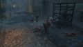 Thumbnail for version as of 00:23, 23 January 2026