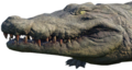 Thumbnail for version as of 00:32, 23 January 2026