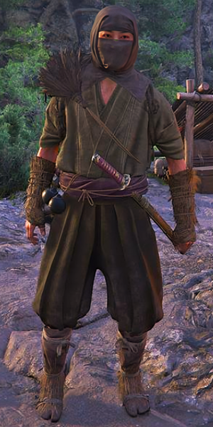 ACSH CoA Goto Ginpachi 1.png