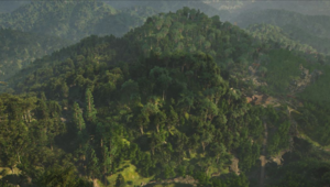 ACSH Mount Kasagata 1.png