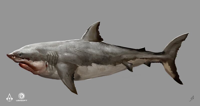 File:AC4 Shark - Concept Art.jpg