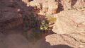 Thumbnail for version as of 00:24, 23 January 2026