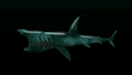 Thumbnail for version as of 00:12, 23 January 2026