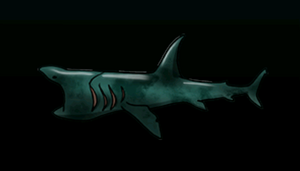 BaskingSharkACP.png
