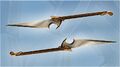 The Hellequin's weapons.