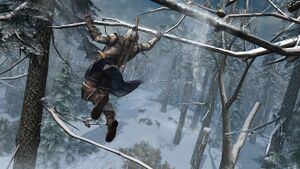 Connorjumping.jpg
