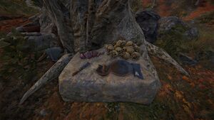Malis-WildBearaltar.jpg
