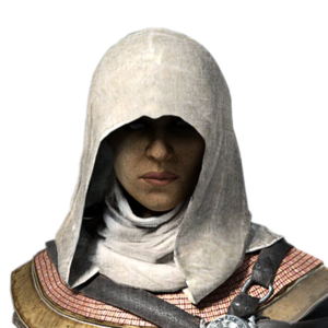 ACOD - Aya (Animus mod).png