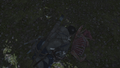 Thumbnail for version as of 00:07, 23 January 2026