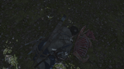 Connor discovering a carcass