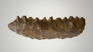 ACO DT - Faiyum Tool.png