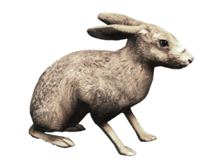 ACRogue Fauna Hare.png