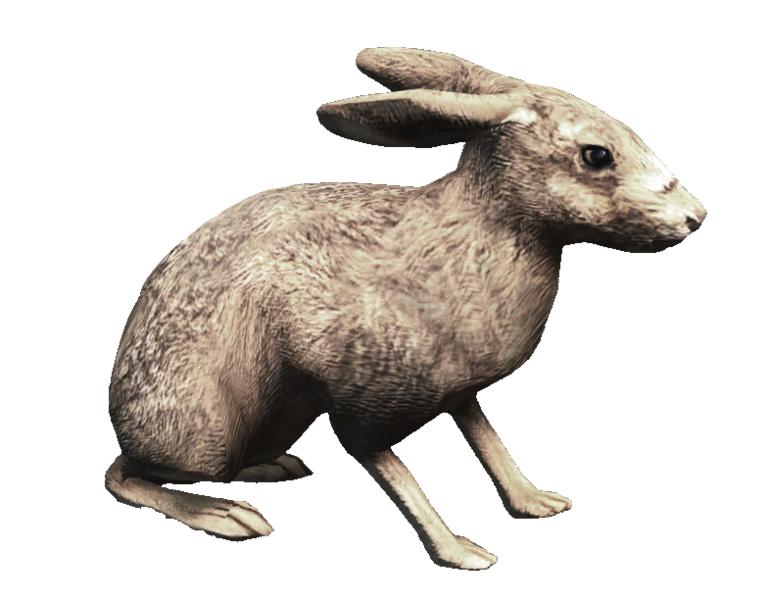 File:ACRogue Fauna Hare.png