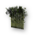 Thumbnail for version as of 20:29, 15 June 2026