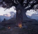 Cedd's Stone