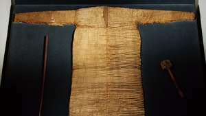 DTAE - Pleated tunic.png