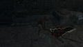 Thumbnail for version as of 00:09, 23 January 2026