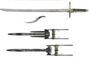 The Sentinel's weapons.