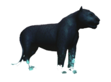 Animus Omega's database image