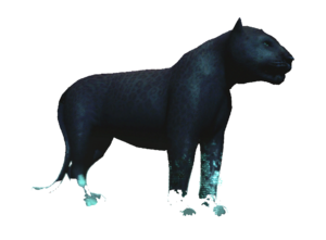 AC4DB - Black Jaguar.png