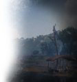 Thumbnail for version as of 00:30, 23 January 2026