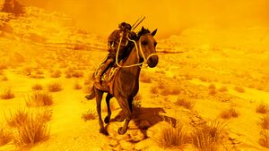 Horse-origins.jpg
