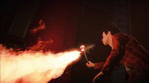 Ross' dragons tossing fire M4.JPG