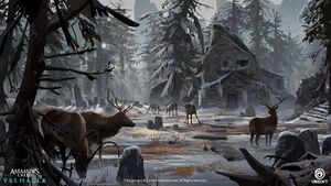 ACV Reindeer CA.jpg
