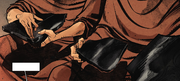 The broken pieces of the Codex