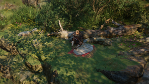ACV Into the Fog 14.png