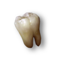 Thumbnail for version as of 00:14, 23 January 2026