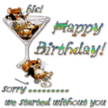 Thumbnail for version as of 00:09, 23 January 2026