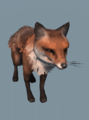 Fox