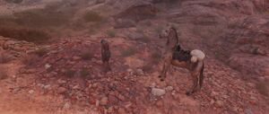 ACO Howls of the Dead 1.jpg