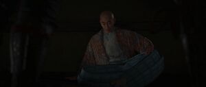 ACSH Against the Koga-ryu 6.jpg