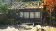 Yura Kakurega