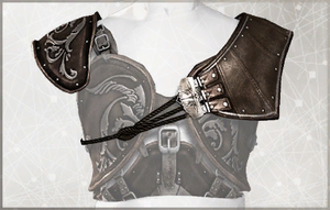 AC2 Armor Helmschmied Spaulders.png