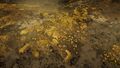 Thumbnail for version as of 00:28, 23 January 2026