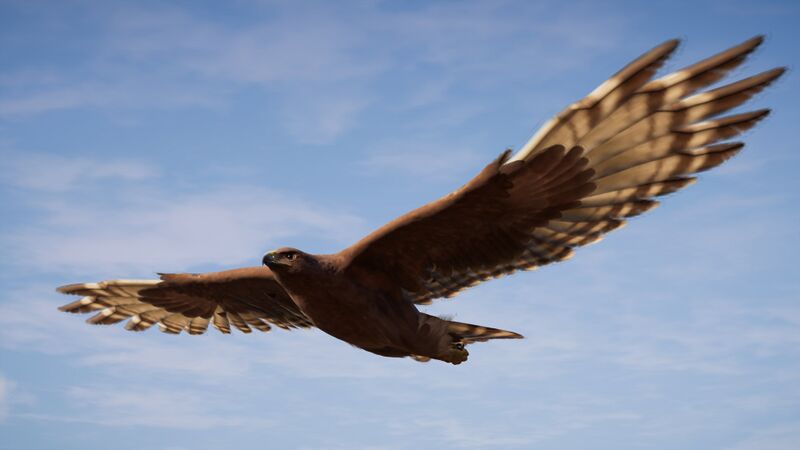 File:ACOd-Ikaros-flight.jpg