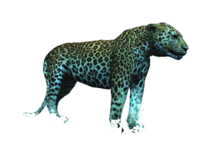 AC4DB - Jaguar.png