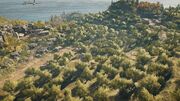 A view of Chios' Mastic Farm in the 5th century BCE